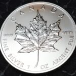 2013 Maple Leaf 1oz Fine Silver Coin