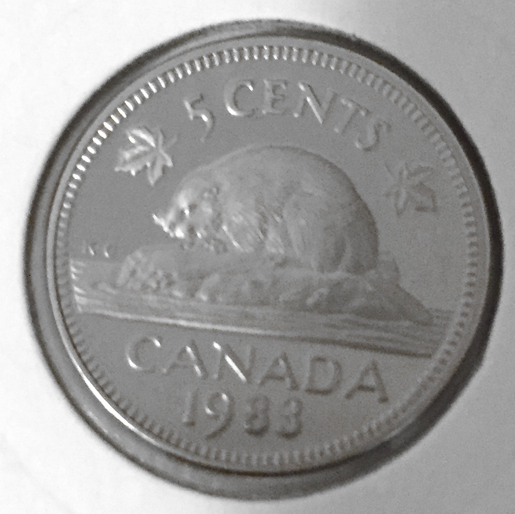 1983 Canada 5-cent Proof with Frosted Finish