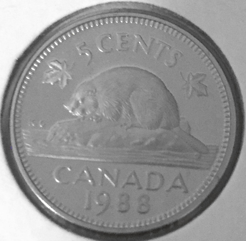 1988 Canada 5-cent Proof with Frosted Finish