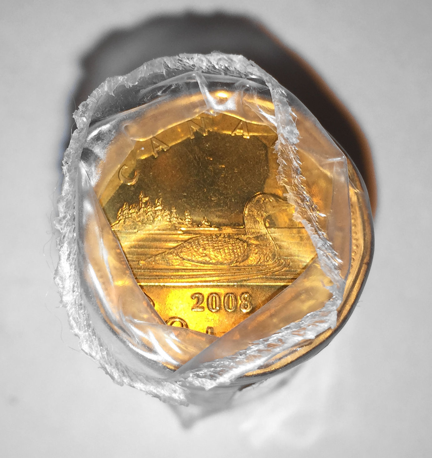 2008 Canada $1 Regular Loonie Original Roll